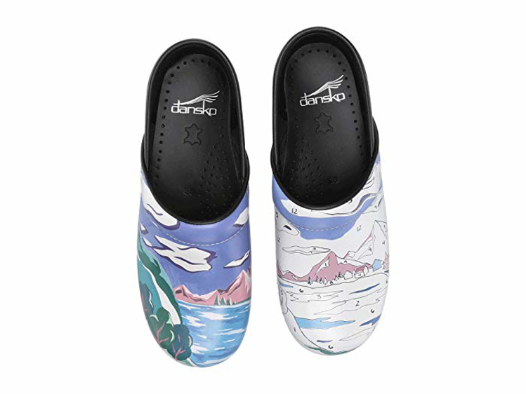dansko paint by number